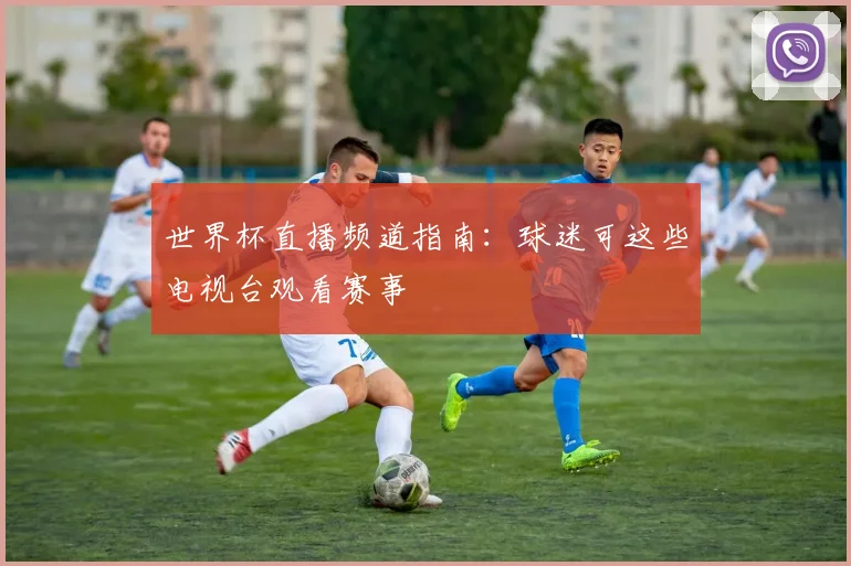 世界杯直播频道指南:球迷可这些电视台观看赛事
