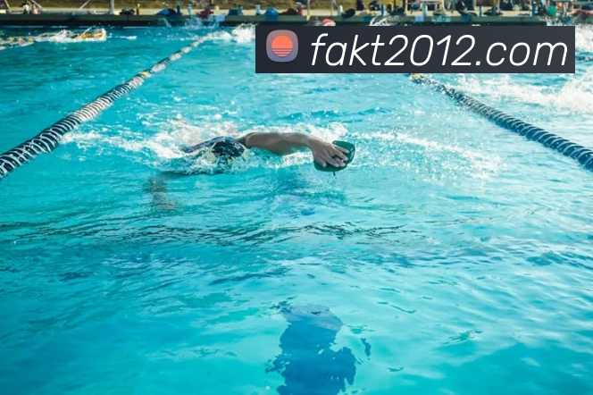 卡塔尔世界杯参赛次数盘点 亚洲劲旅多次闯入正赛引关注